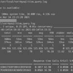 20210314_pt-query-digest_mysql_2