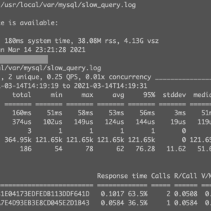 20210314_pt-query-digest_mysql_2