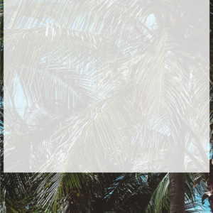 20220508_wordpress_sp