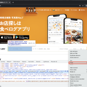 20220729_google_chrome_xpath_2