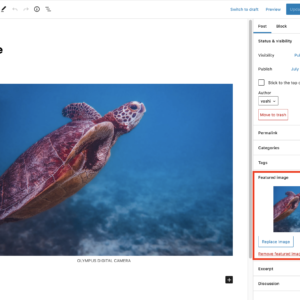 20220804_wordpress_thumbnails_img_settings
