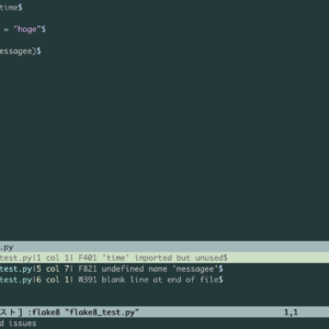 20220817_flake8_vim