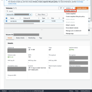 wordpress_bitnami_ebs_expand_1
